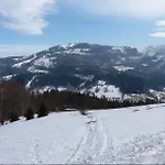 Pod Modrzewiem Apartman *