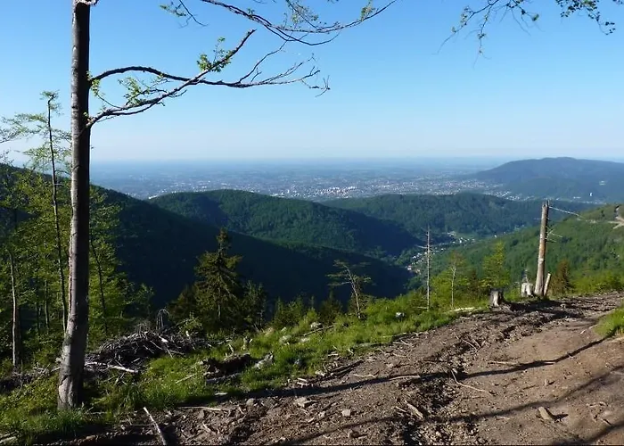 Pod Modrzewiem 슈차이르크