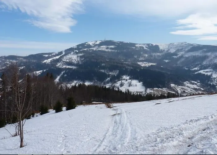 Pod Modrzewiem 아파트 *